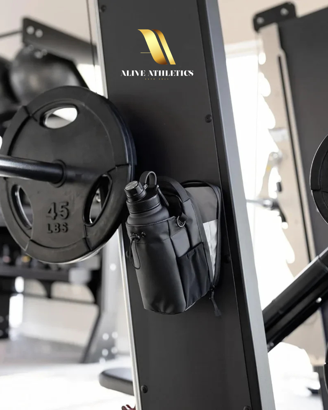 Magnetic Gym Back
